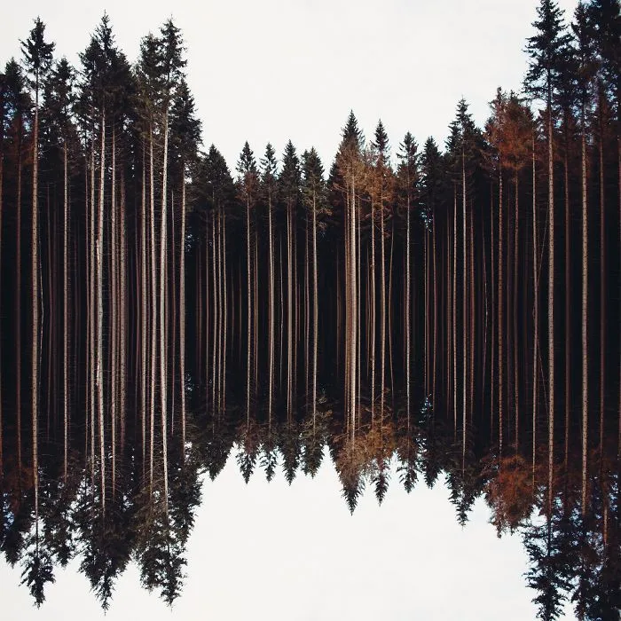 By Marc Leppin - The Great Outdoors