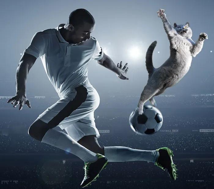 Going For The Goal