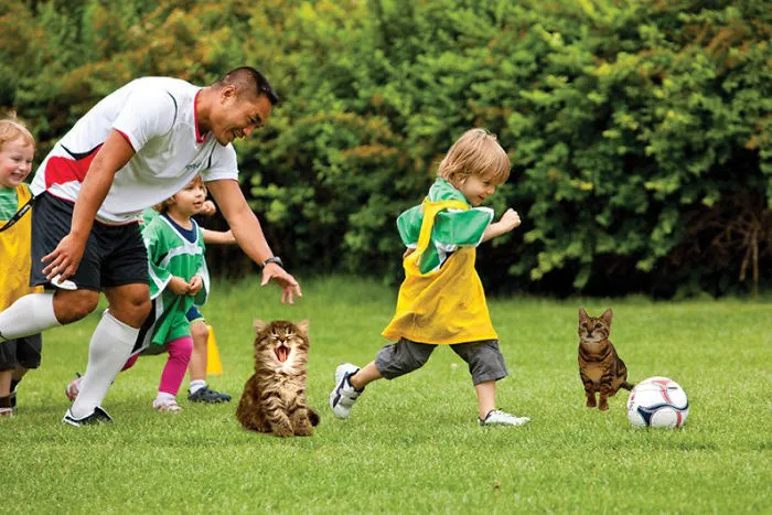 Take The Kitten