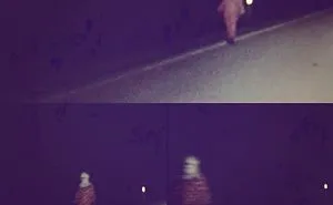 Wrinkles The Clown Spotted On A Rural Florida Road In The Middle Of The Night