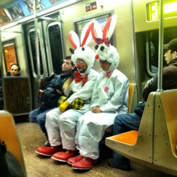 Bunnies