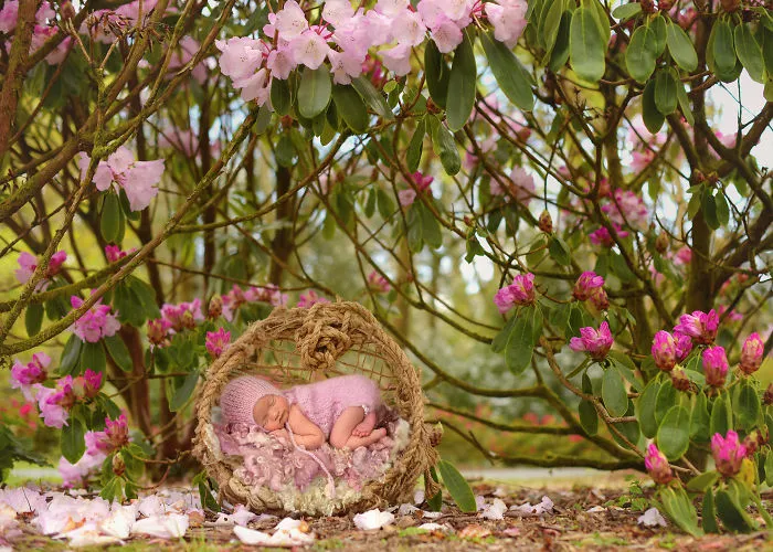 I Create Magical Settings For Newborn Pictures Using Photoshop