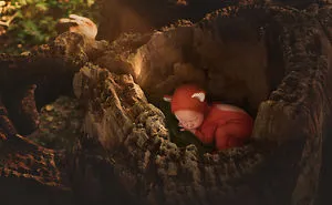 I Create Magical Settings For Newborn Pictures Using Photoshop