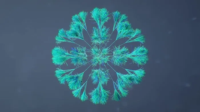 The Isotope: A 3d Motion Study Using Different Inspirations From Both Online As Well As Everyday Objects.