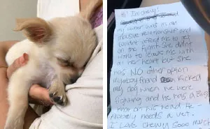 Puppy Abandoned At The Airport Had A Heartbreaking Note From His Owner, And It'll Make You Cry