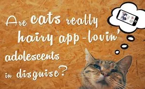 Are Cats Hairy App Loving Adolescents In Disguise? Probably!