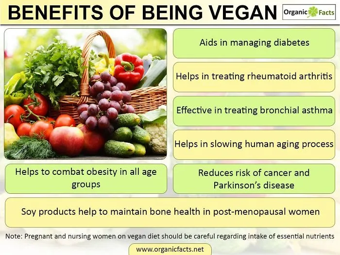 How I Transitioning From Vegetarian To Vegan