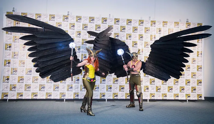 Hawkgirl And Hawkman