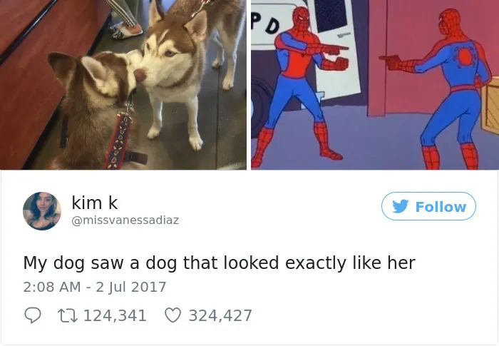 231 Times Women Won The Internet With Their Hilarious Tweets In 2017