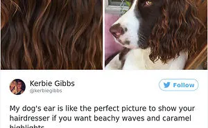 231 Times Women Won The Internet With Their Hilarious Tweets In 2017
