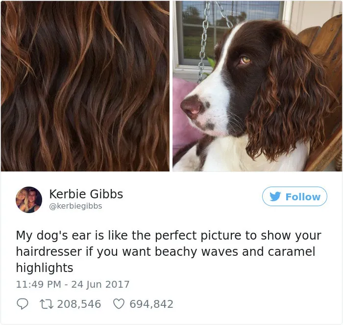 231 Times Women Won The Internet With Their Hilarious Tweets In 2017