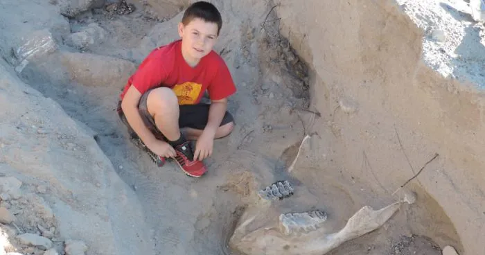 Boy Discovers Million-Year-Old Fossil By Tripping Over It