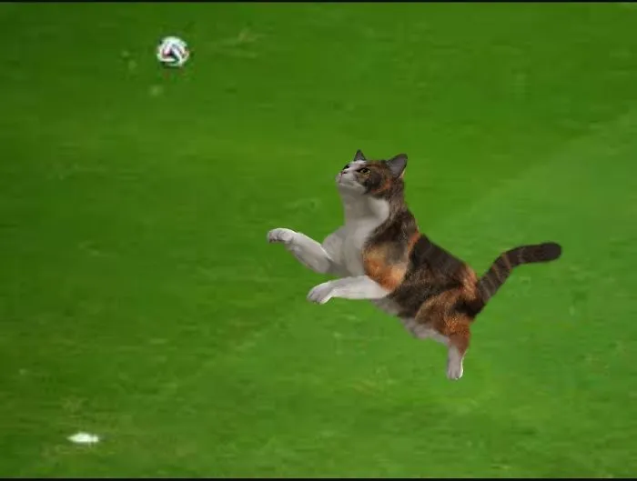 What A Header