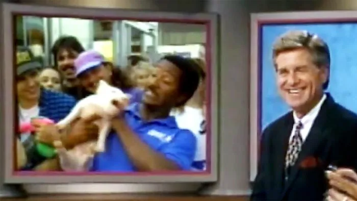 Pig Freakout Over Bacon News Blooper