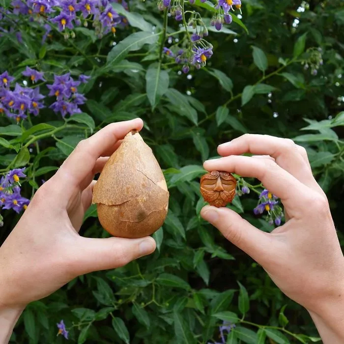 Casi todo el mundo tira el hueso de los aguacates, esta artista los talla en forma de criaturas mágicas