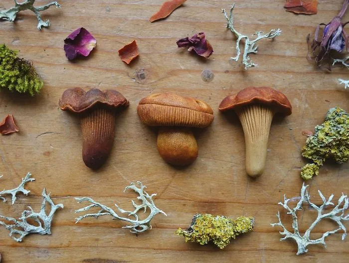 Most People Throw Away Avocado Pits, But This Artist Carves Them Into Magical Forest Creatures