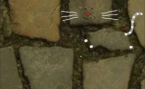 Illustration Project To Help Stray Cats