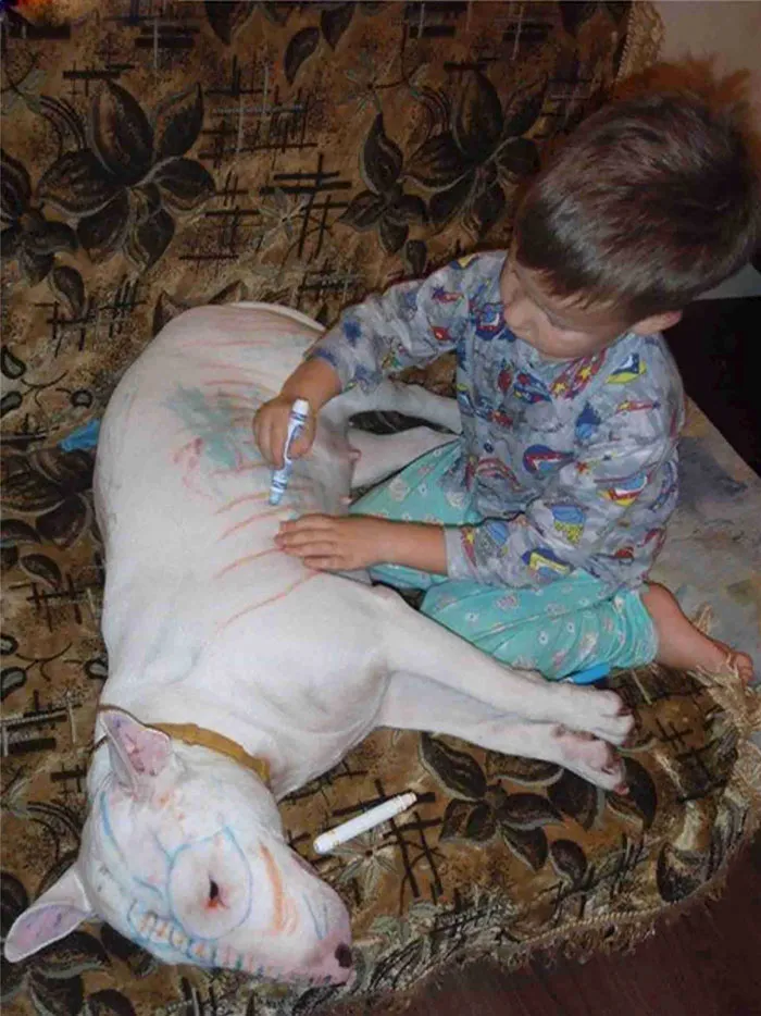 No dejes a los niños solos con el perro 5