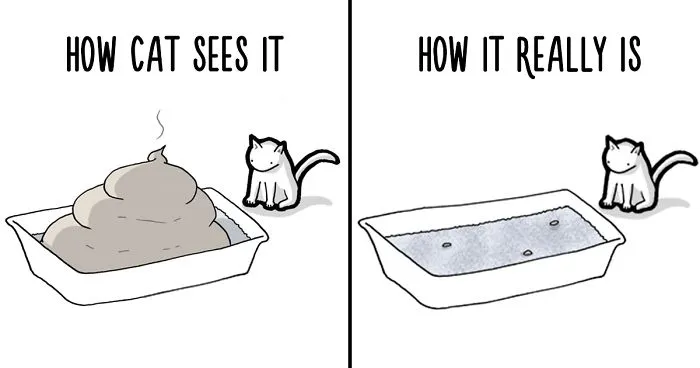 Your Cat Has Written You A Letter, And You Must Read It
