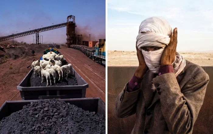 Freight Train Hopping In Mauritania: 4000 Kilometers In A Cargo Carriage With Local Shepherds And Their Sheep