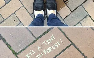 30 Random Acts Of Genius Vandalism
