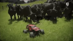 Cows Are Extremely Curious Creatures