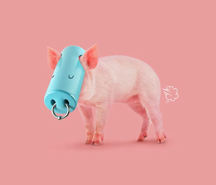 This Artist Turns Animals Into Funny Creatures With A Creative Art Direction