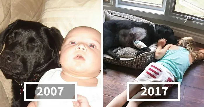 Woman Tells Her Sister NOT To Have A Puppy When She Has A Baby, But She Doesn't Listen