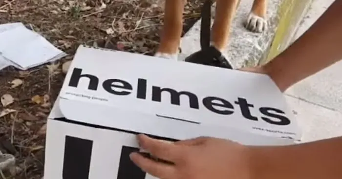 This Dog Lead His Humans To A Mysterios Box In The Mountains, Ended Up Becoming A Father