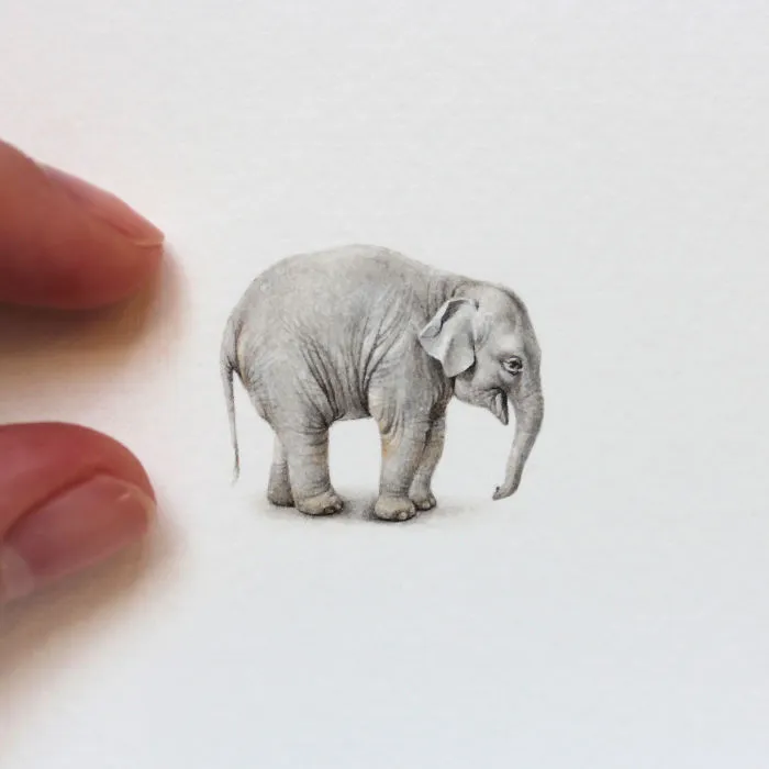 I Started Drawing Miniature Paintings Because I Did Not Have Time For Bigger Drawings And Now It's My Passion