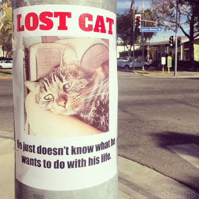 Someone Is Putting Up Fake Posters Around The City, And It’s Hilarious (99 Pics)