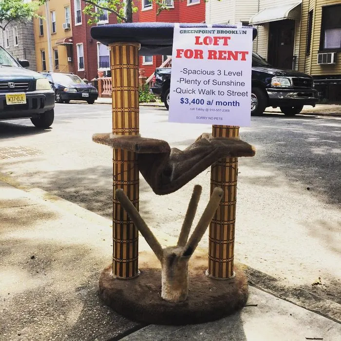 Someone Is Putting Up Fake Posters Around The City, And It’s Hilarious (99 Pics)