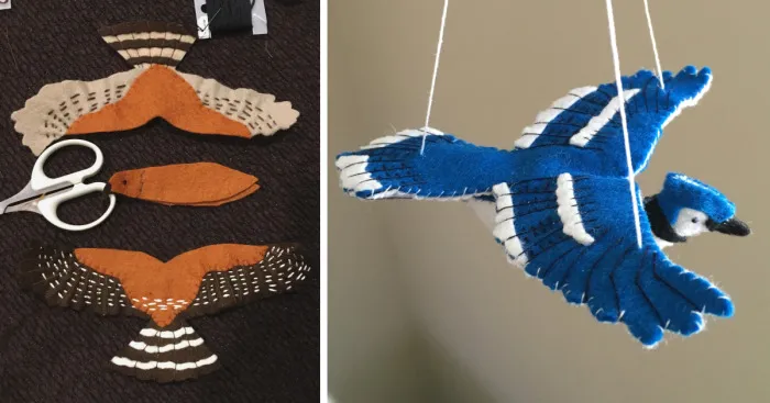 I Found My Feet In Canada And These Birds Found Their Wings