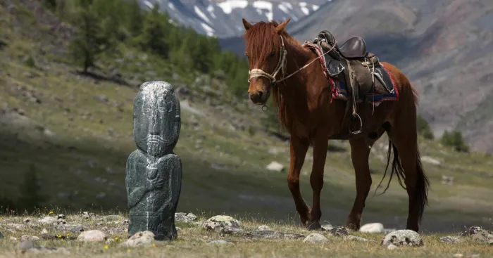 I Traveled To Mongolian Altai Mountains