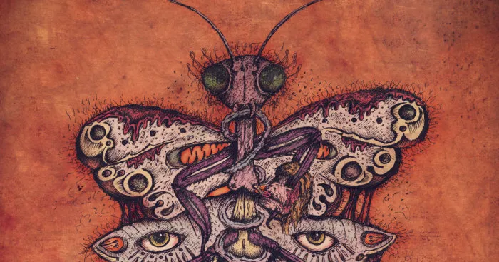 Hybrid Dark Mantis Illustrated For A Song