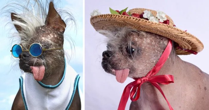 My Unusual Looking Dog Is My Favorite Photo Subject
