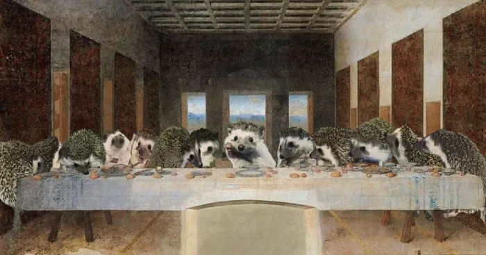 The Amazing World Of Hedgehog Art History