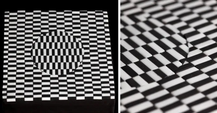 It Took Us 8 Hours To Make This Optical Illusion Cake From 530 Pieces