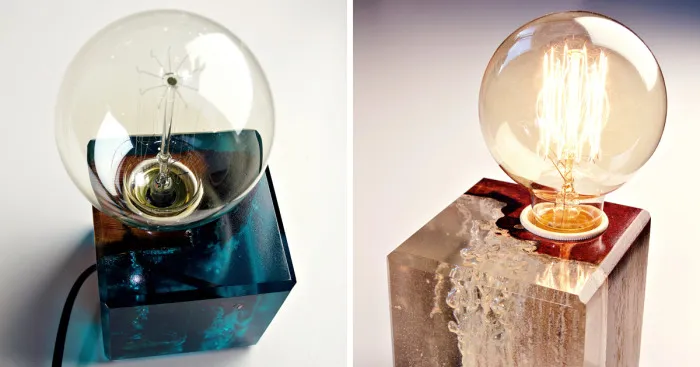We Found A Way To Bring A Portion Of Nature To Your Home