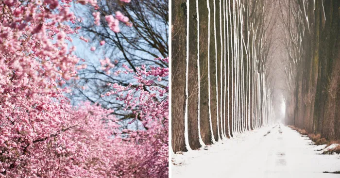I Documented The Seasonal Change Of Nature  Within 15-Minute Cycling From My House