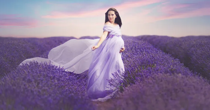 Photo Shoot In Lavender Field