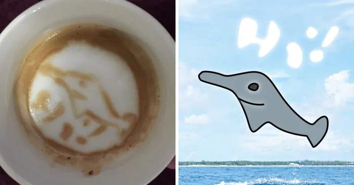 My Wife Thinks She Is Picasso Of The Barista World
