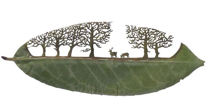 A Caterpillar Having Lunch Inspired Me To Start Creating Leaf Cutting Art