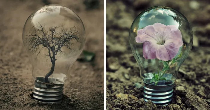 My Photo Project 'Life Inside A Light Bulb'