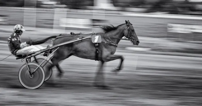 I Visit The Jekerhippodrome In Tongeren, Belgium, To See The Horse Races And Capture Its Strange Atmosphere