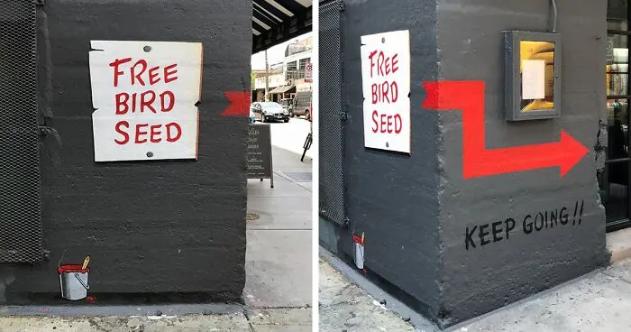 This 'Free Bird Seed' Graffiti Leads To Unexpected Surprise In Chicago