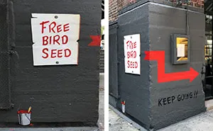 This 'Free Bird Seed' Graffiti Leads To Unexpected Surprise In Chicago