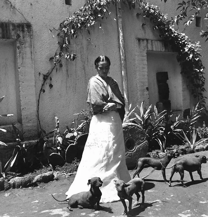 10+ Curiosas fotos de Frida Kahlo durante sus últimos años de vida