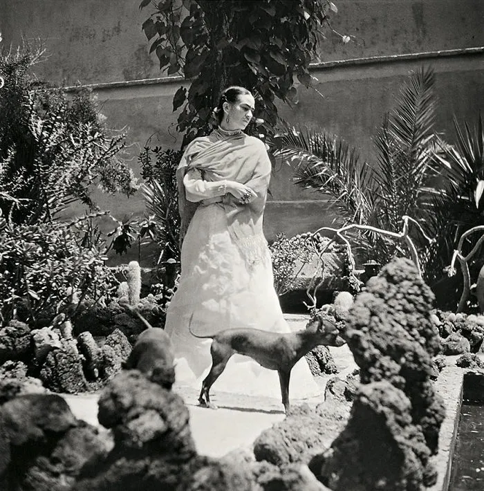 10+ Curiosas fotos de Frida Kahlo durante sus últimos años de vida
