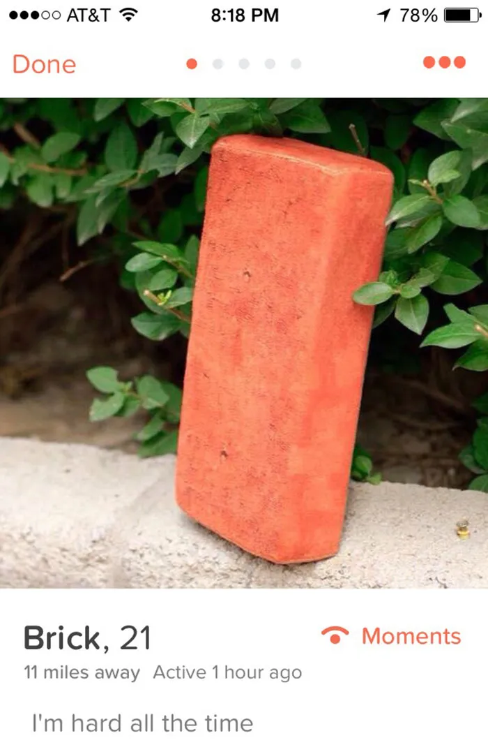 A funny Tinder profile featuring a brick with humorous text, exemplifying amusing online dating profiles.